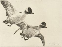 Frank Weston Benson (American, 1862-1951) Flying Buffleheads